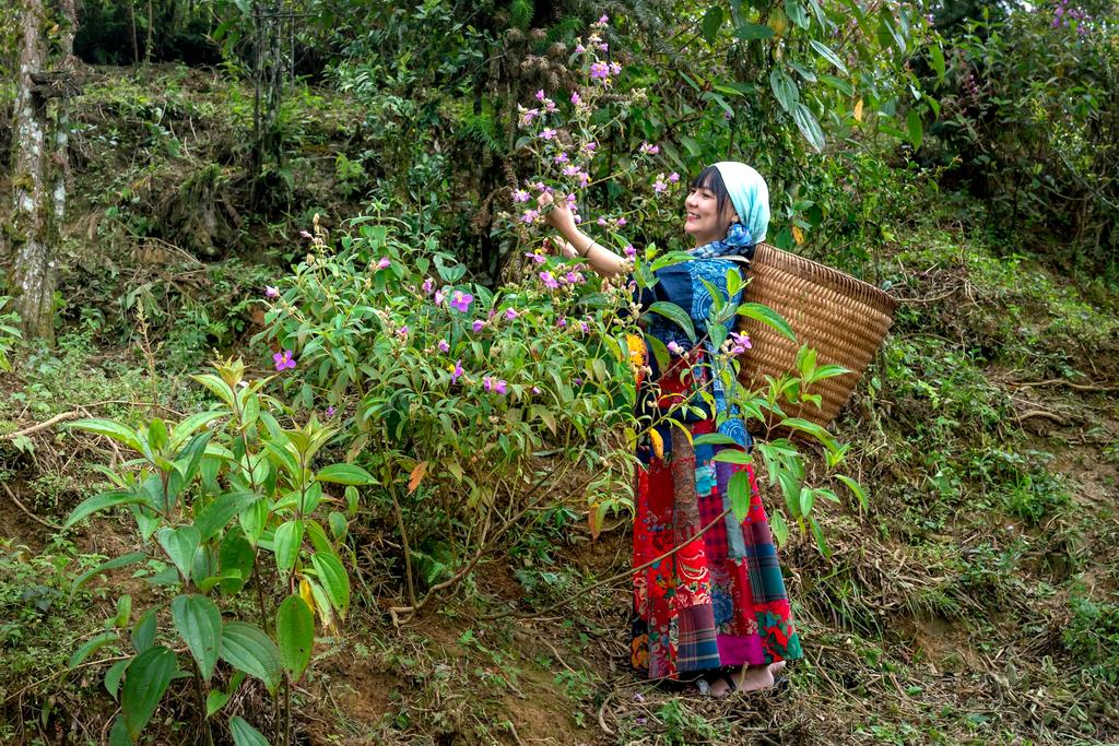 Sustainable Mining Practices